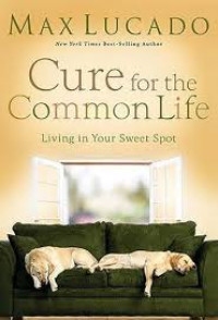 Image of Cure for the Common Life