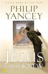 Image of THE JESUS I NEVER KNEW